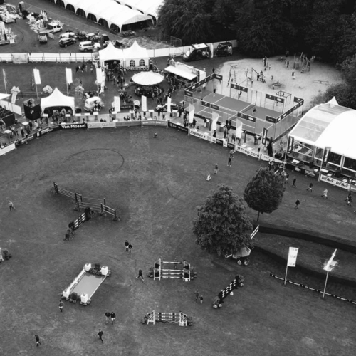 Paarden-race-zwart-wit Paarden-race-zwart-wit